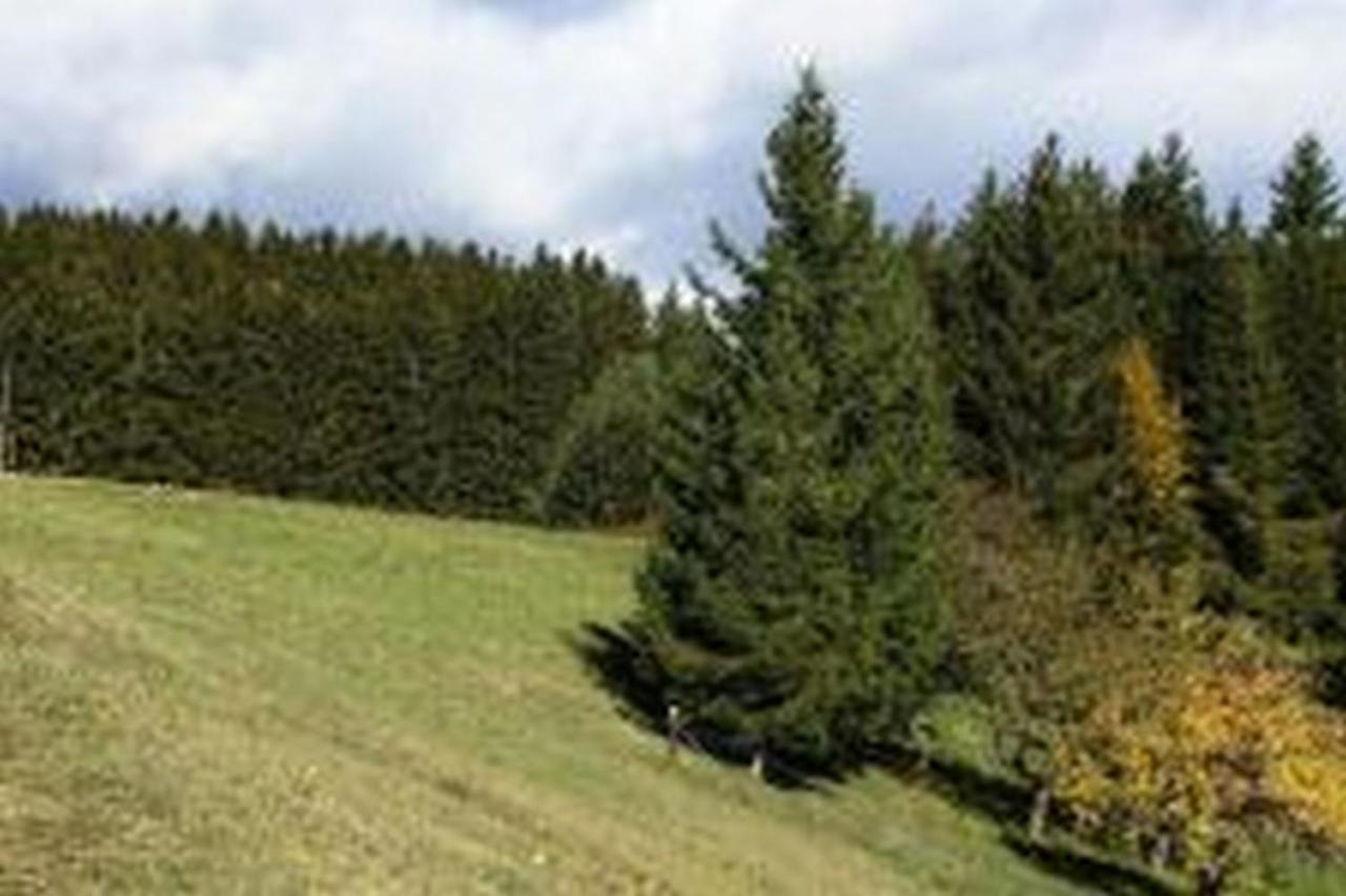 Landgasthof Hauser Immendingen ภายนอก รูปภาพ